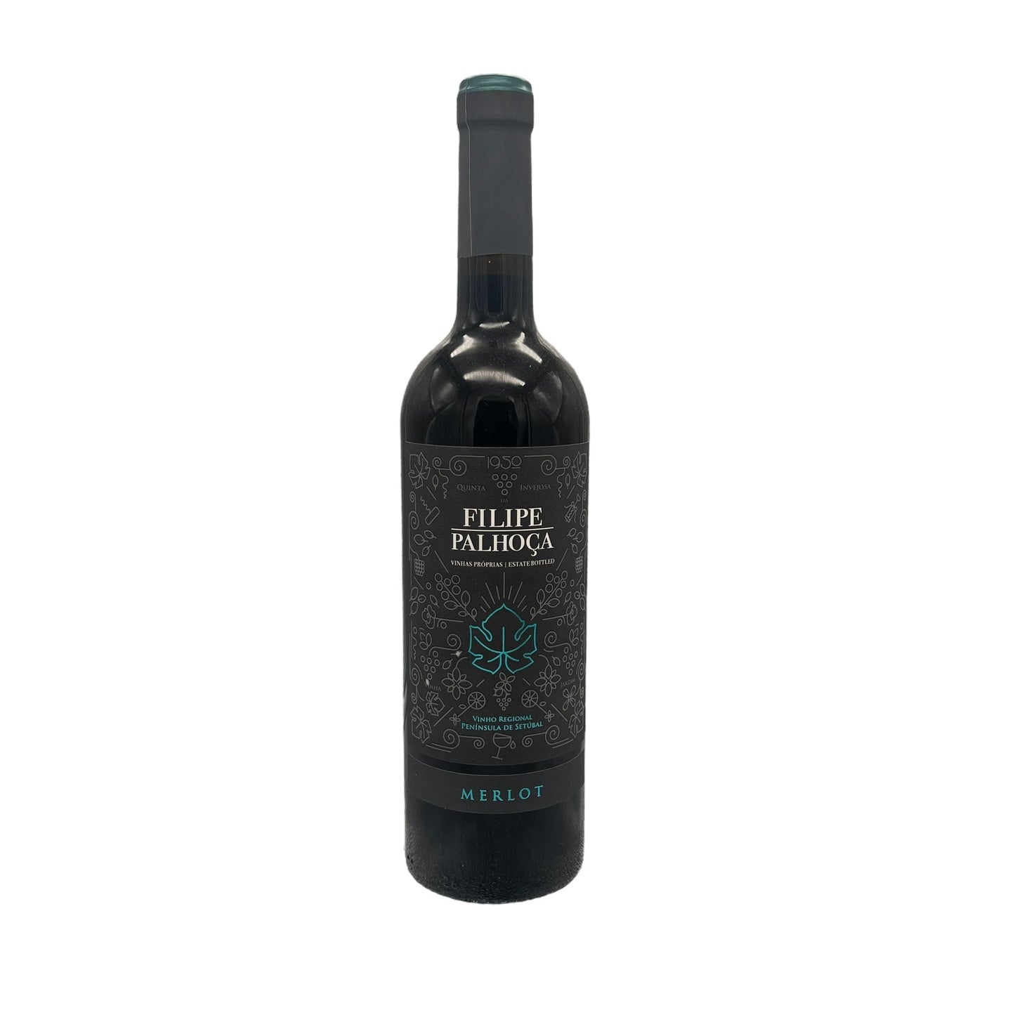 FIlipe Palhoca Merlot