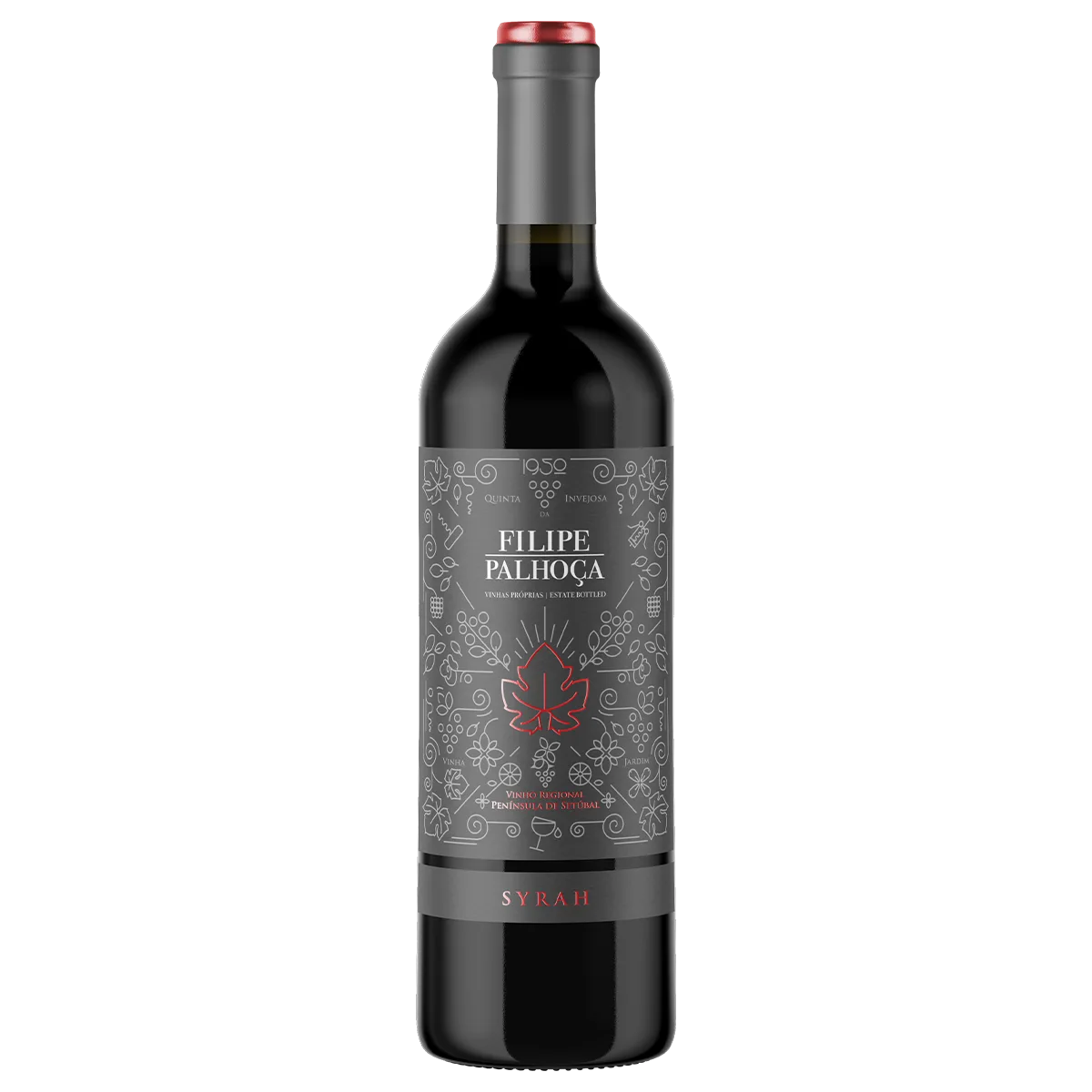 Filipe Palhoca Syrah 2022